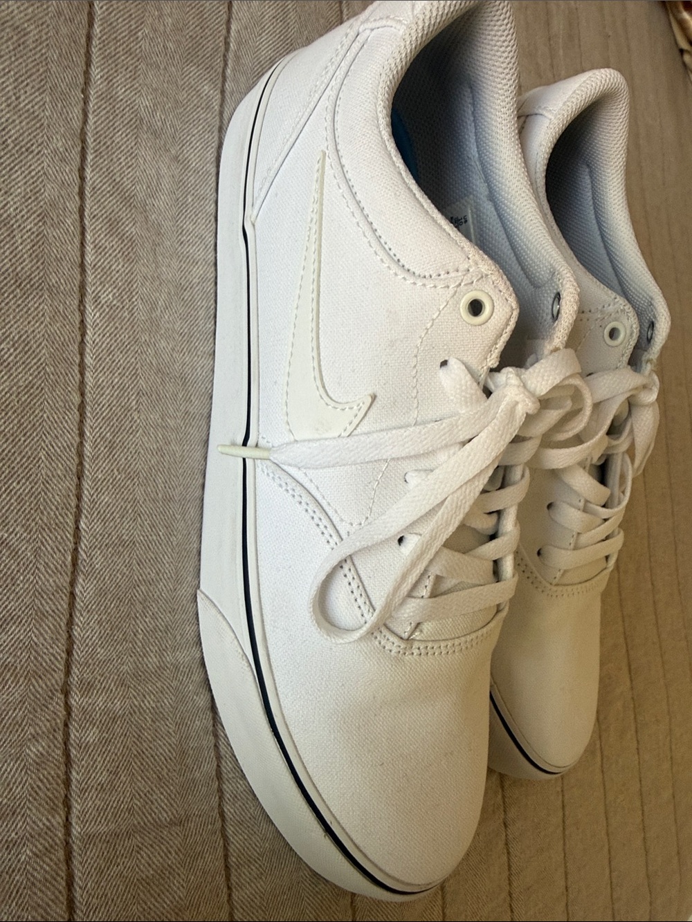 Nike White Low-Top Canvas Sneakers